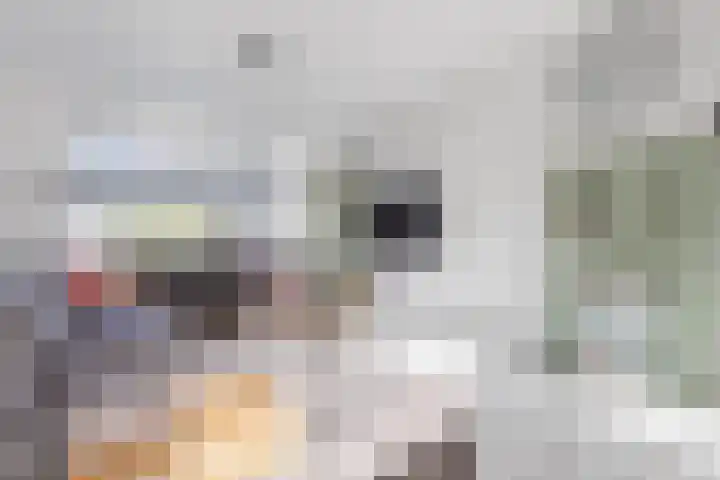Nachtegaallaan 19 Anna Paulowna thumbnail 15