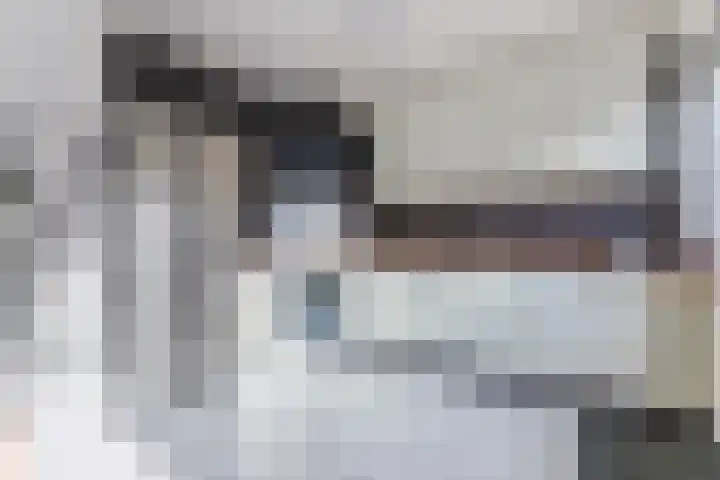 Nachtegaallaan 19 Anna Paulowna thumbnail 20