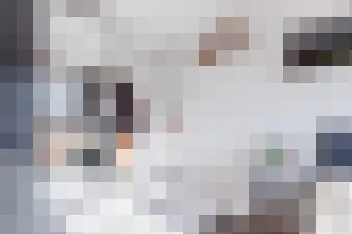 Nachtegaallaan 19 Anna Paulowna thumbnail 27