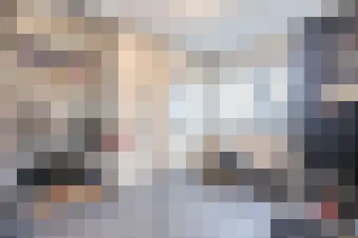 Nachtegaallaan 19 Anna Paulowna thumbnail 31