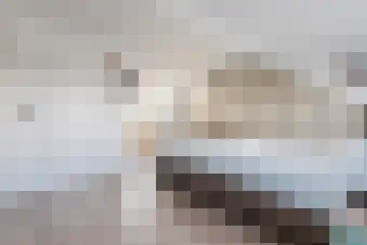 Nachtegaallaan 19 Anna Paulowna thumbnail 39