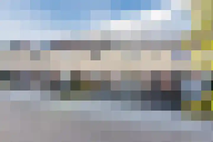 Nachtegaallaan 19 Anna Paulowna thumbnail 4