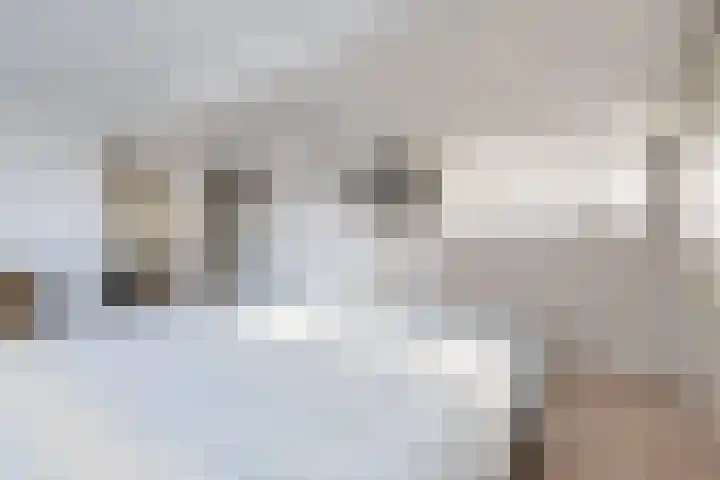 Nachtegaallaan 19 Anna Paulowna thumbnail 41