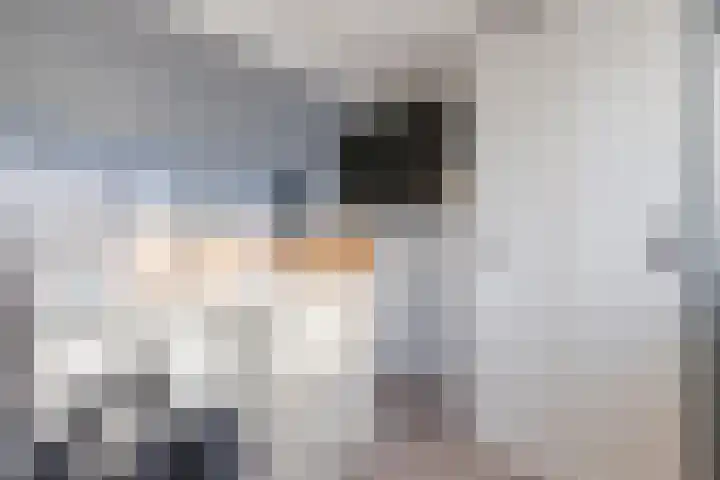 Nachtegaallaan 19 Anna Paulowna thumbnail 43