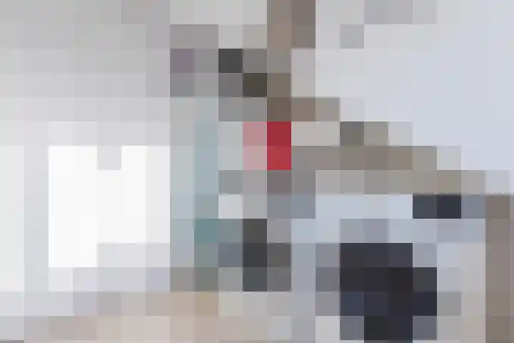 Nachtegaallaan 19 Anna Paulowna thumbnail 46