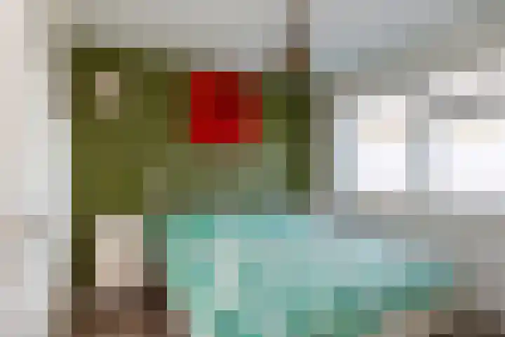 Nachtegaallaan 19 Maartensdijk thumbnail 11