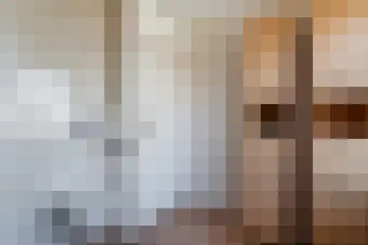 Nachtegaallaan 19 Maartensdijk thumbnail 15