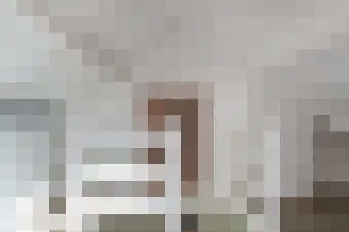Nachtegaallaan 19 Maartensdijk thumbnail 16