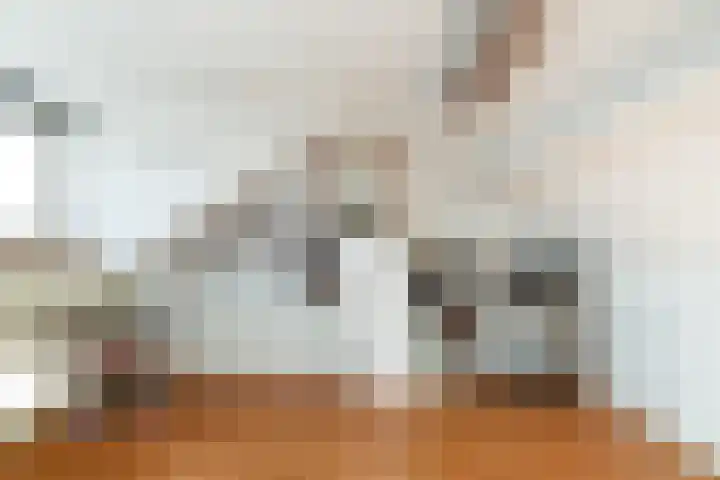 Nachtegaallaan 19 Maartensdijk thumbnail 18