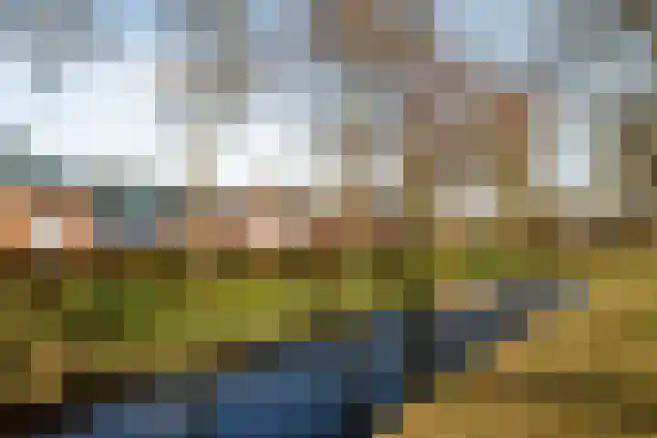 Nachtegaallaan 19 Maartensdijk thumbnail 19