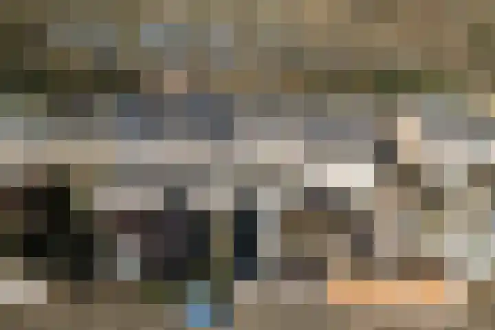Nachtegaallaan 19 Maartensdijk thumbnail 20
