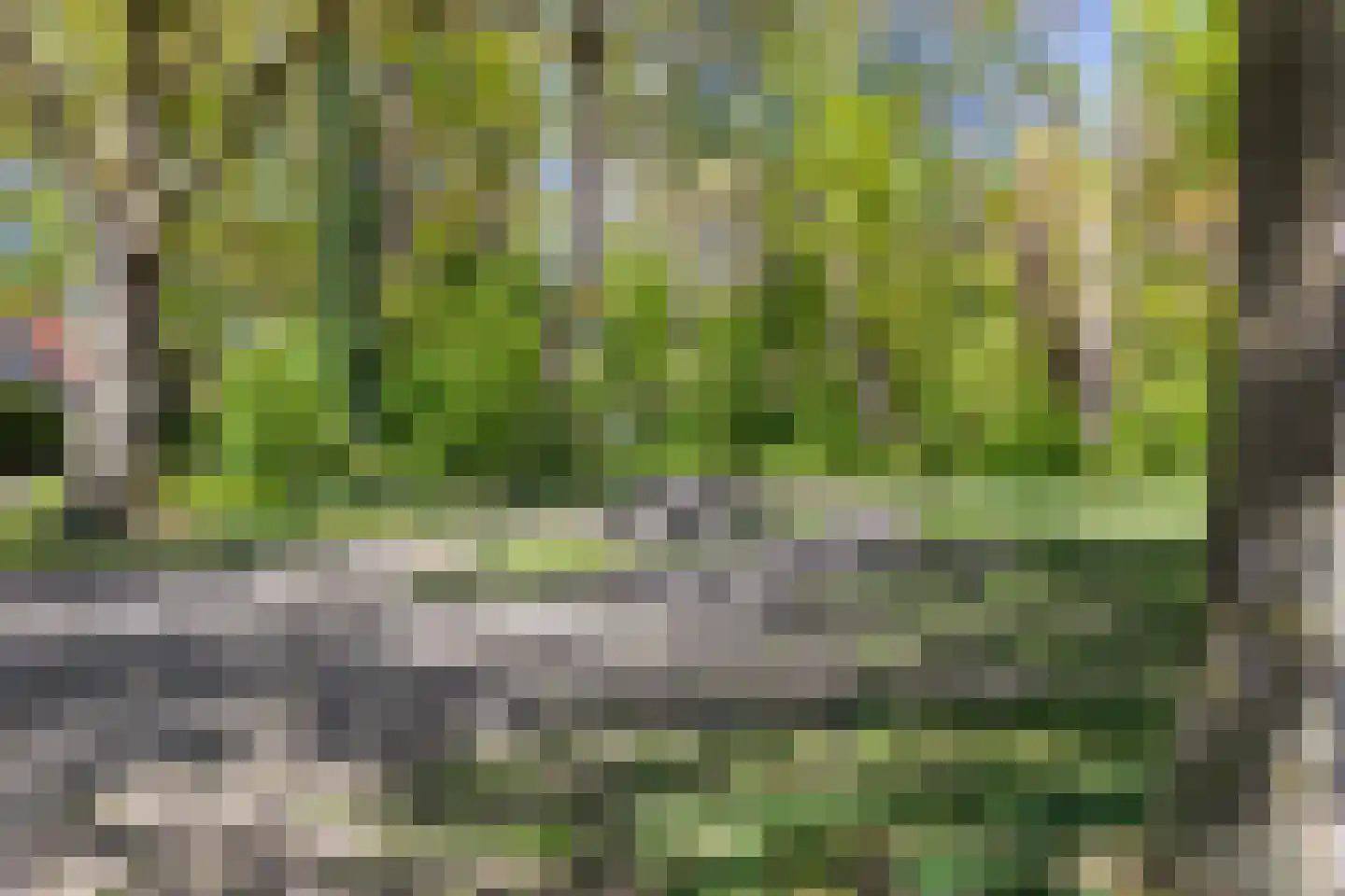 Nachtegaallaan 19 Valkenswaard thumbnail 25