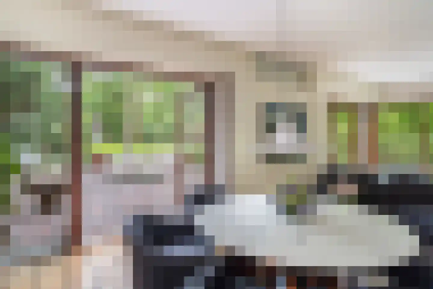 Nachtegaallaan 2 A Wassenaar thumbnail 15