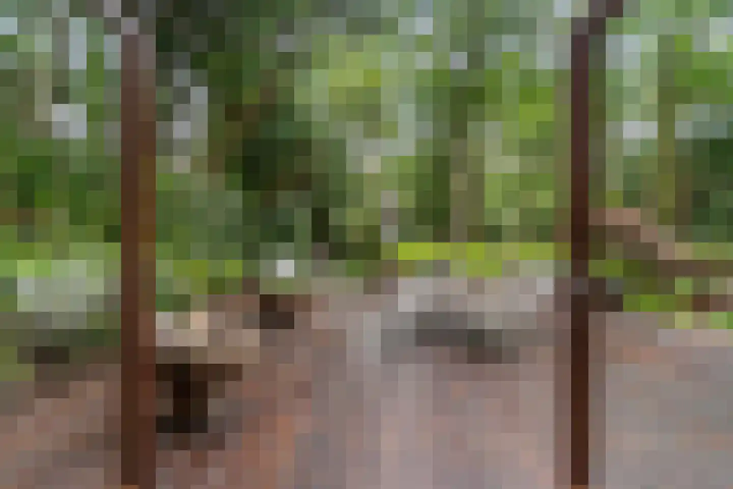 Nachtegaallaan 2 A Wassenaar thumbnail 16