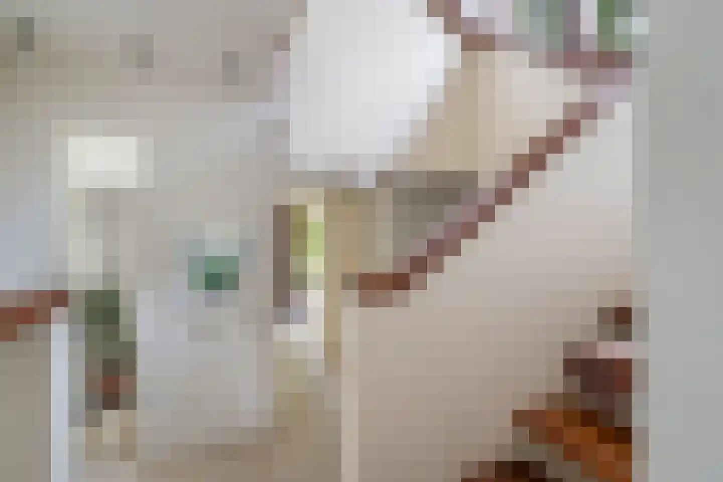 Nachtegaallaan 2 A Wassenaar thumbnail 20