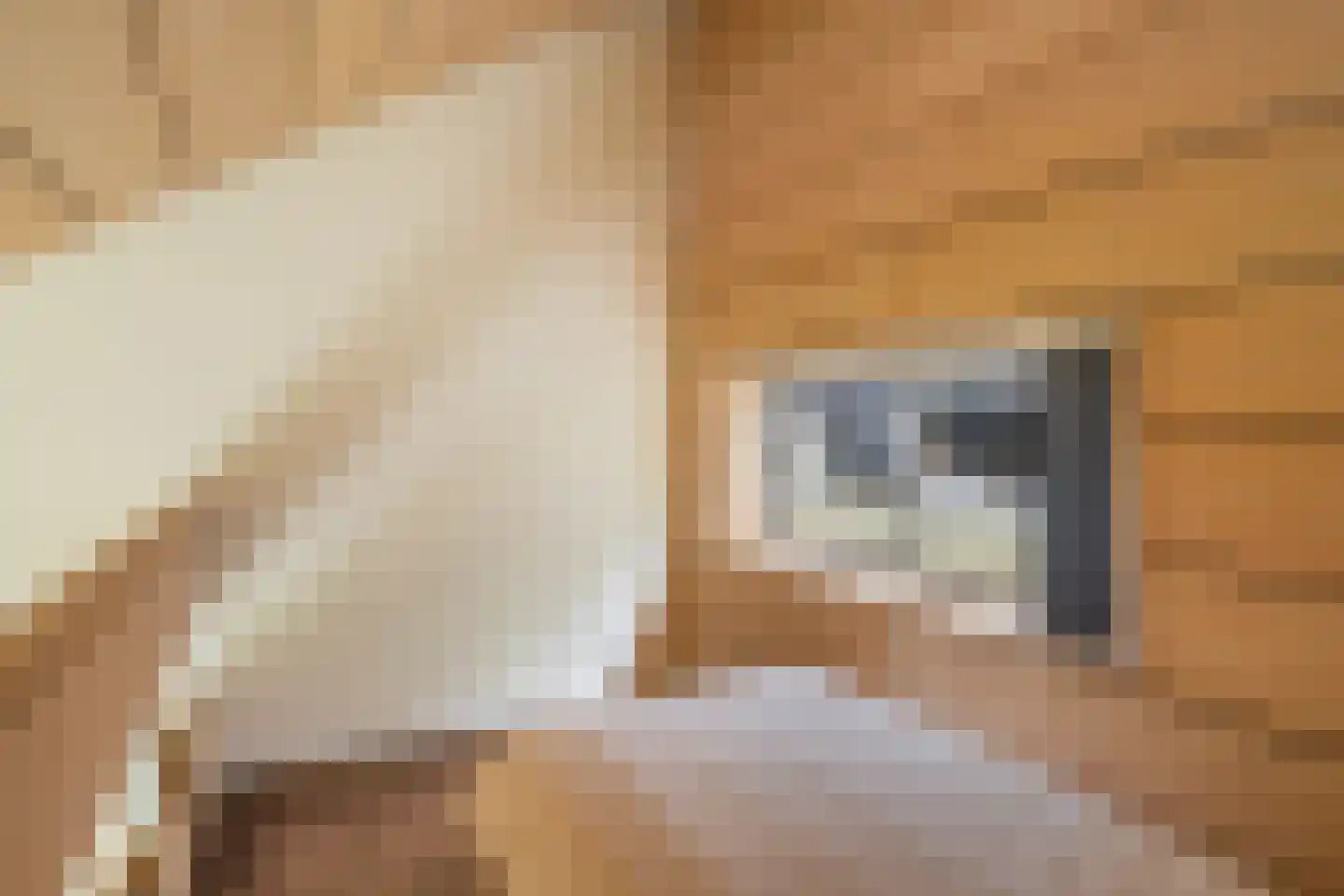 Nachtegaallaan 2 A Wassenaar thumbnail 30