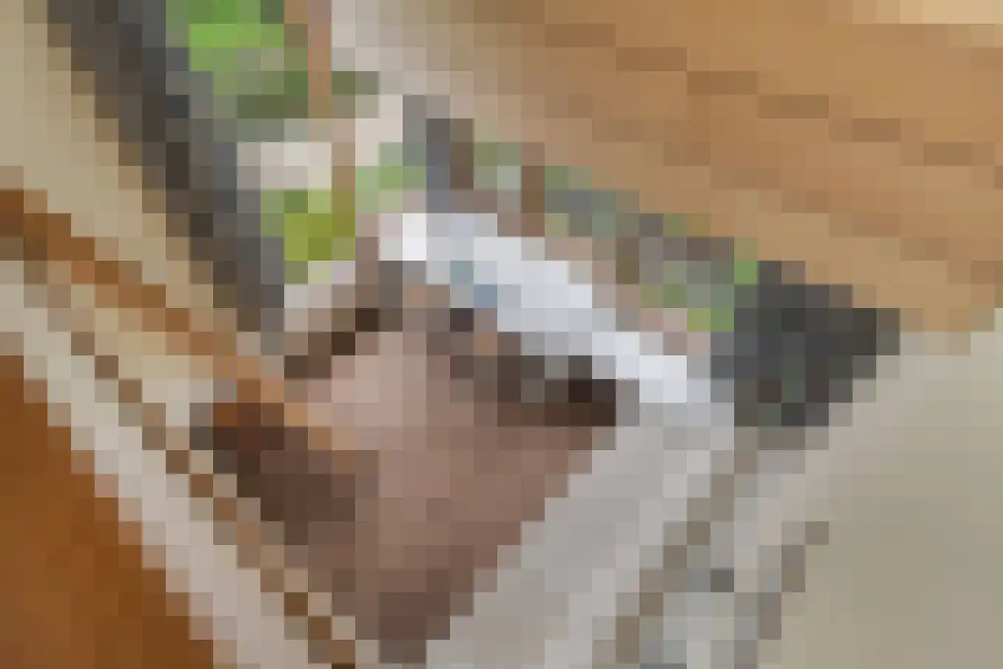 Nachtegaallaan 2 A Wassenaar thumbnail 31