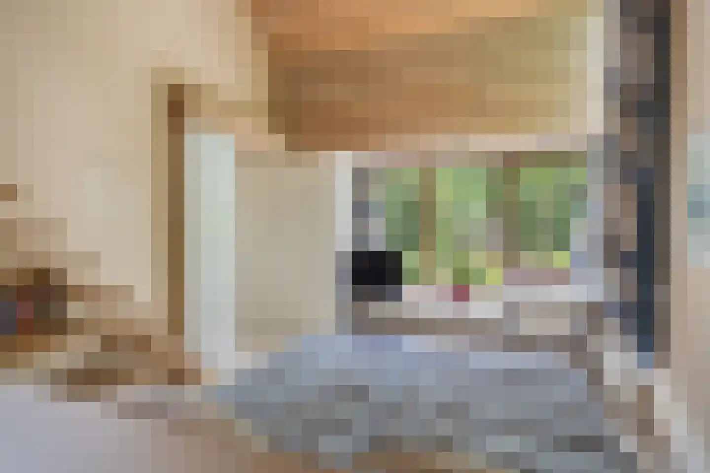 Nachtegaallaan 2 A Wassenaar thumbnail 37