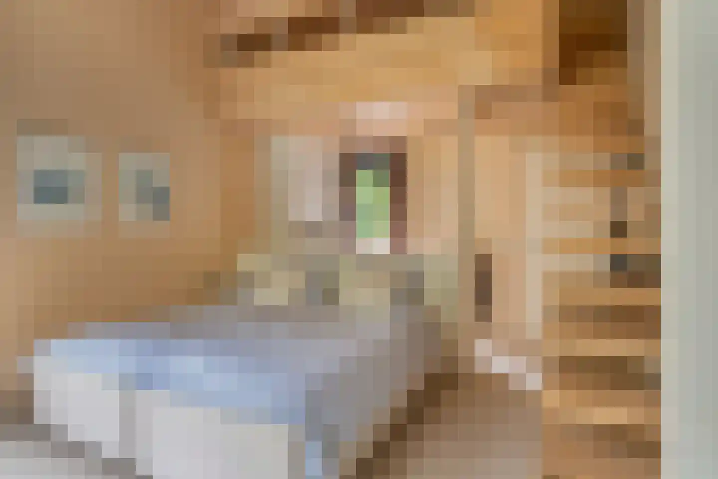 Nachtegaallaan 2 A Wassenaar thumbnail 38