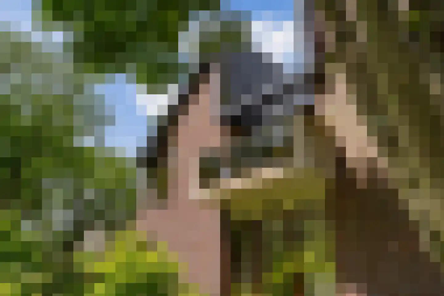 Nachtegaallaan 2 A Wassenaar thumbnail 5