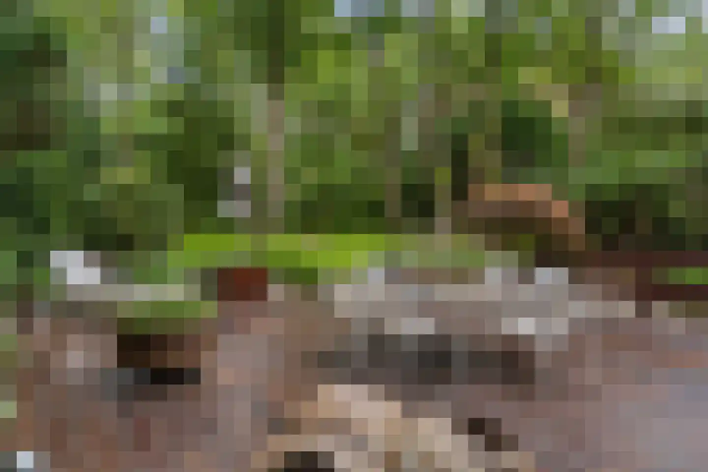 Nachtegaallaan 2 A Wassenaar thumbnail 50