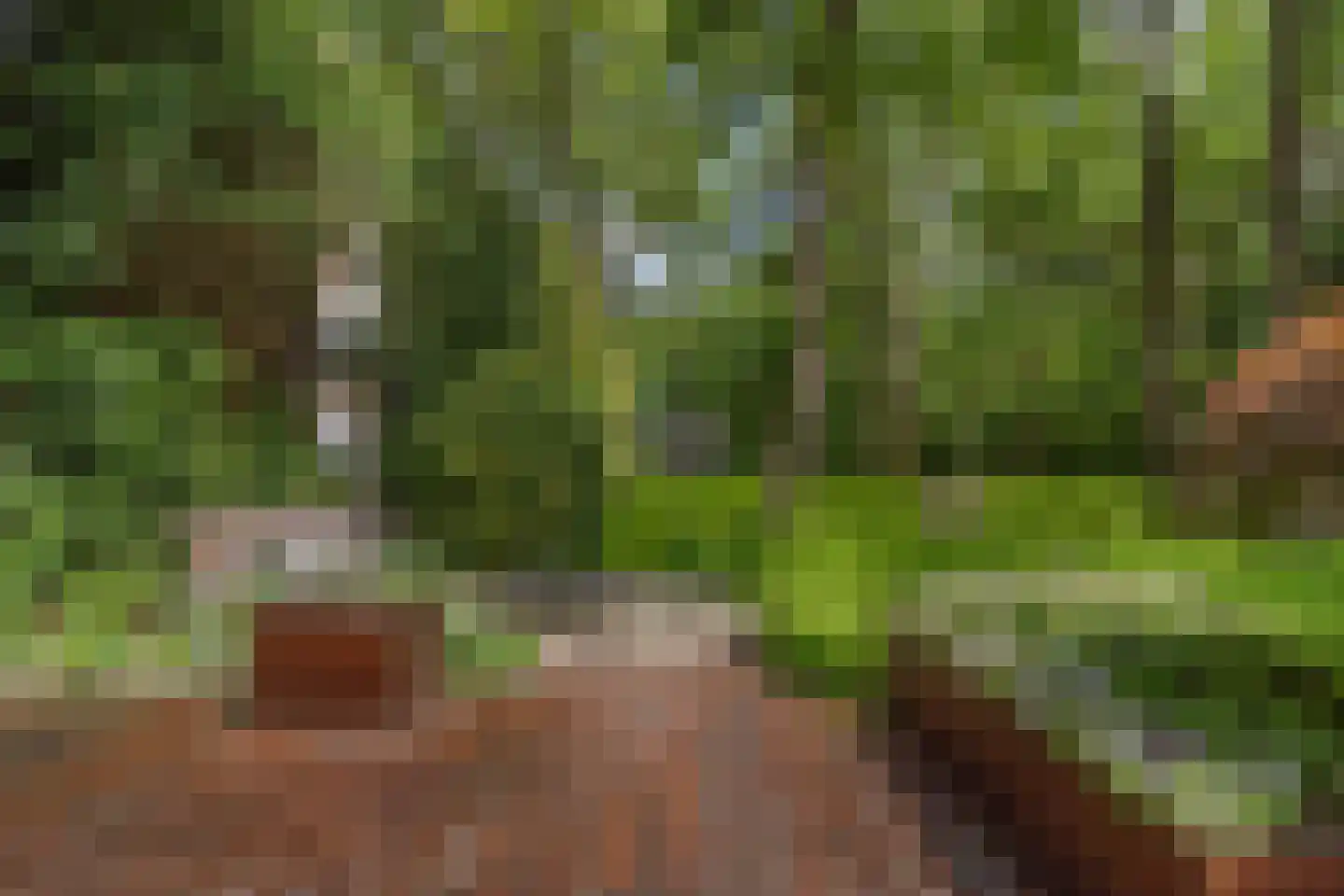 Nachtegaallaan 2 A Wassenaar thumbnail 51