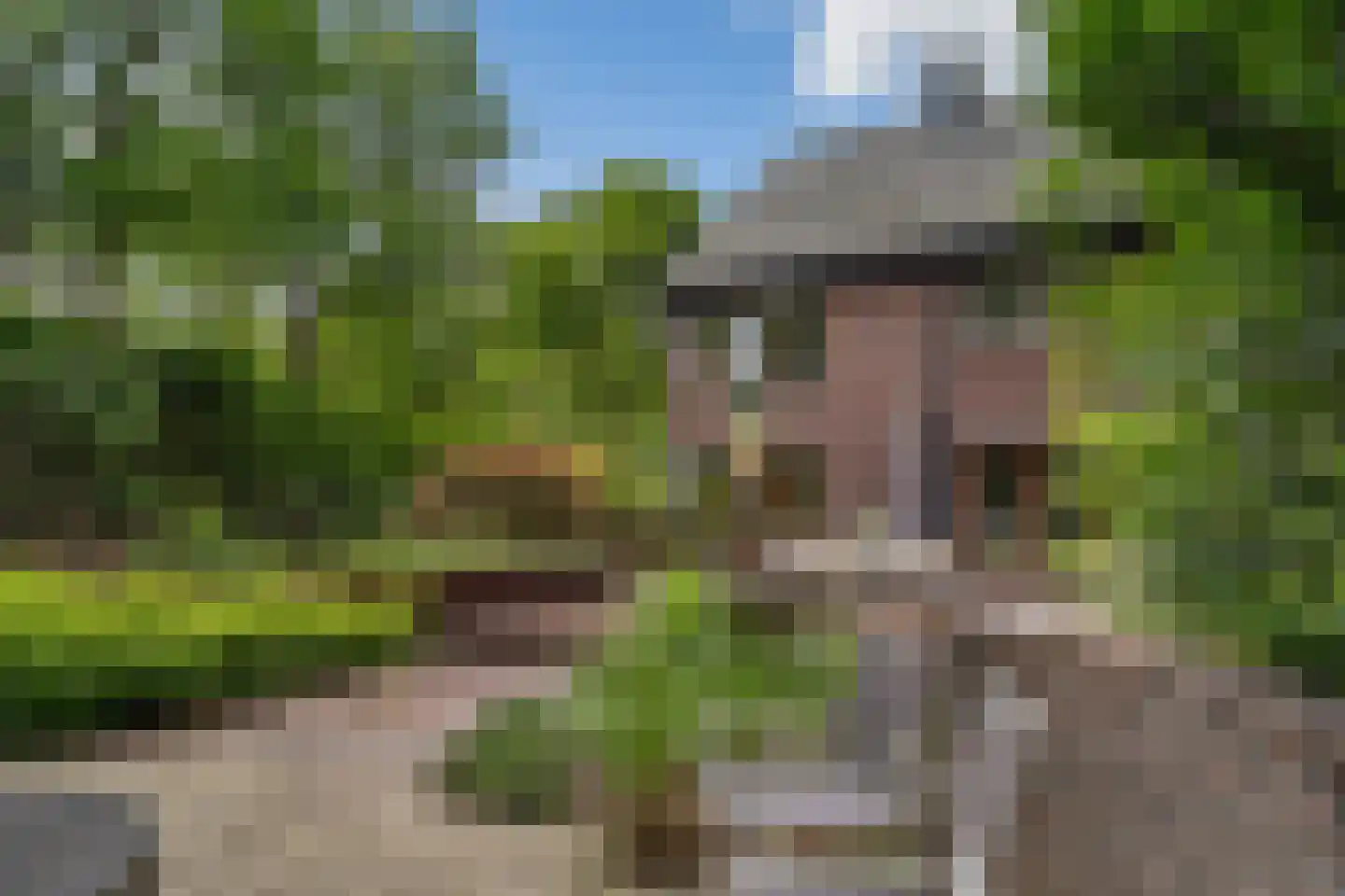 Nachtegaallaan 2 A Wassenaar thumbnail 52