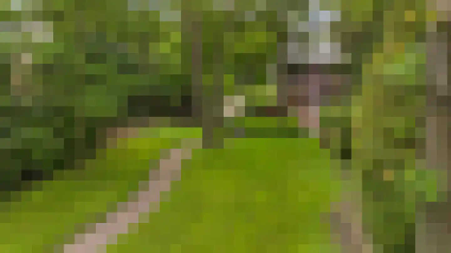 Nachtegaallaan 2 A Wassenaar thumbnail 53