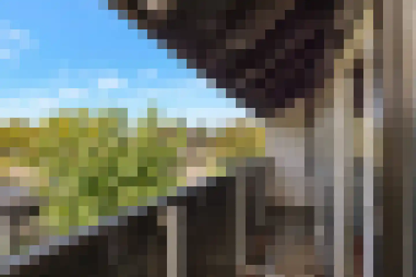 Nachtegaallaan 2 Anna Paulowna thumbnail 17