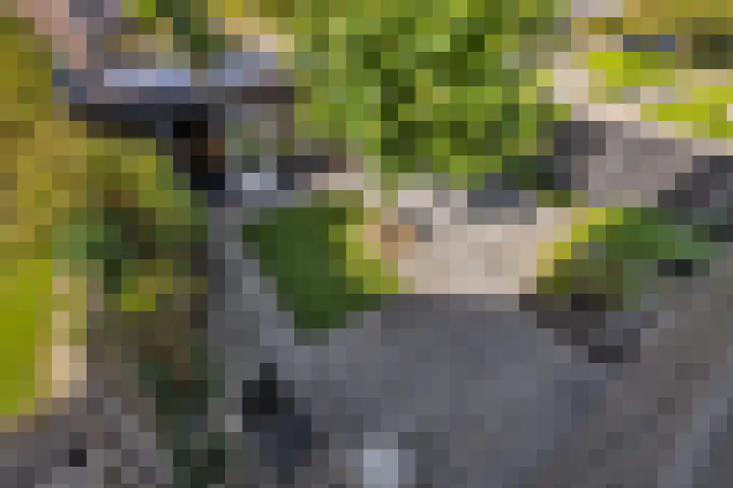 Nachtegaallaan 2 Anna Paulowna thumbnail 18