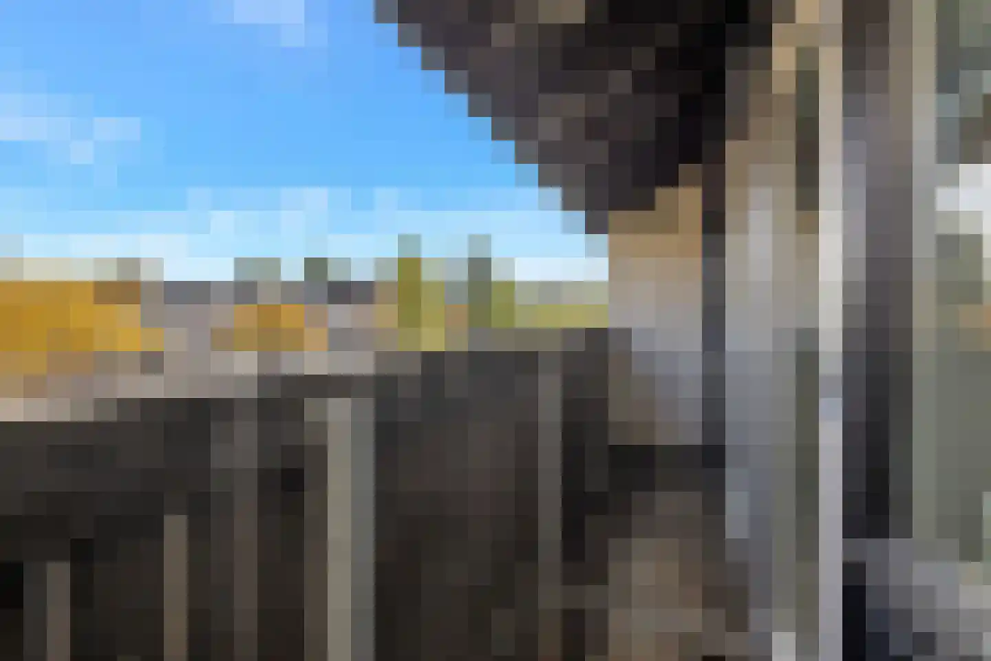 Nachtegaallaan 2 Anna Paulowna thumbnail 24