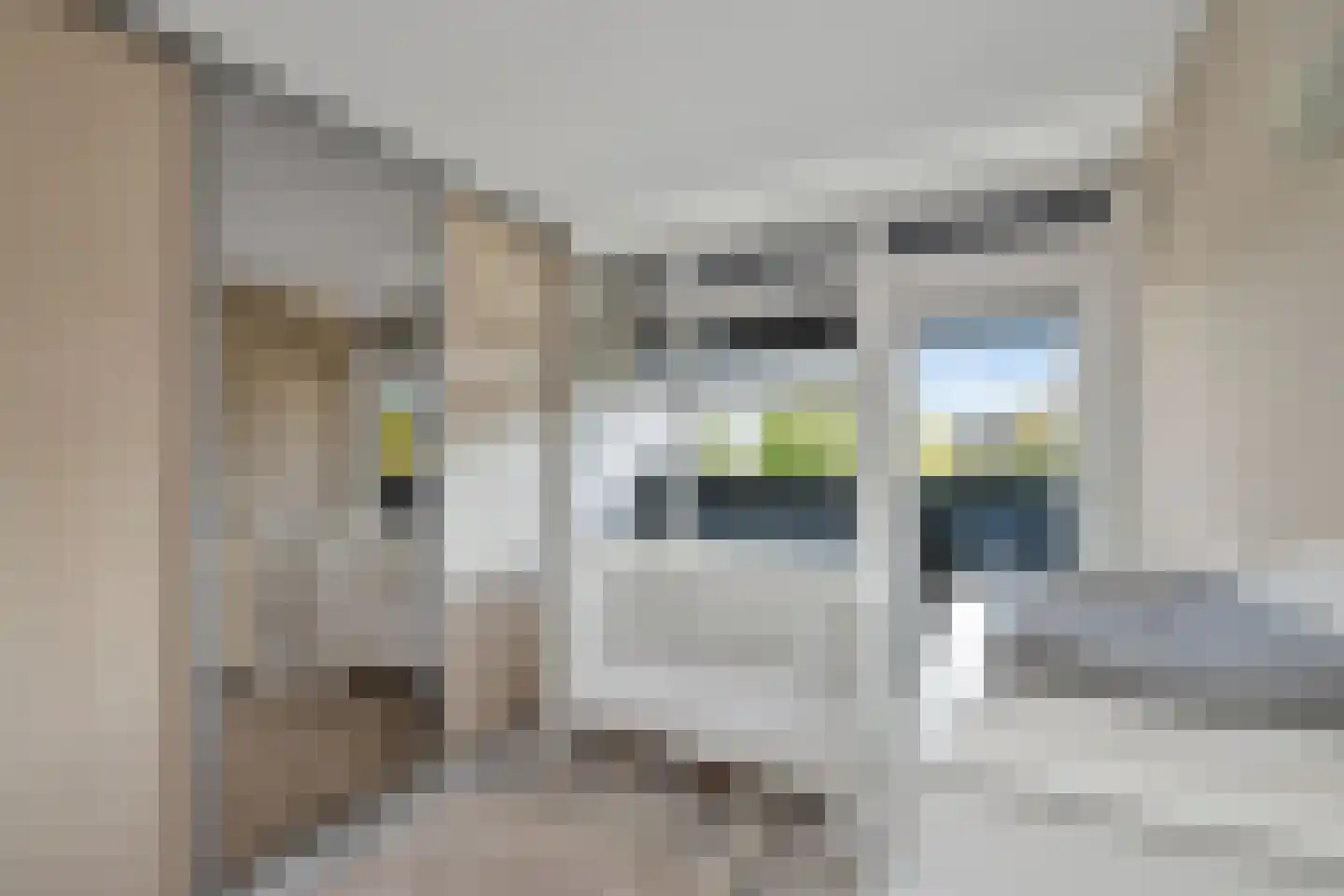 Nachtegaallaan 2 Anna Paulowna thumbnail 25