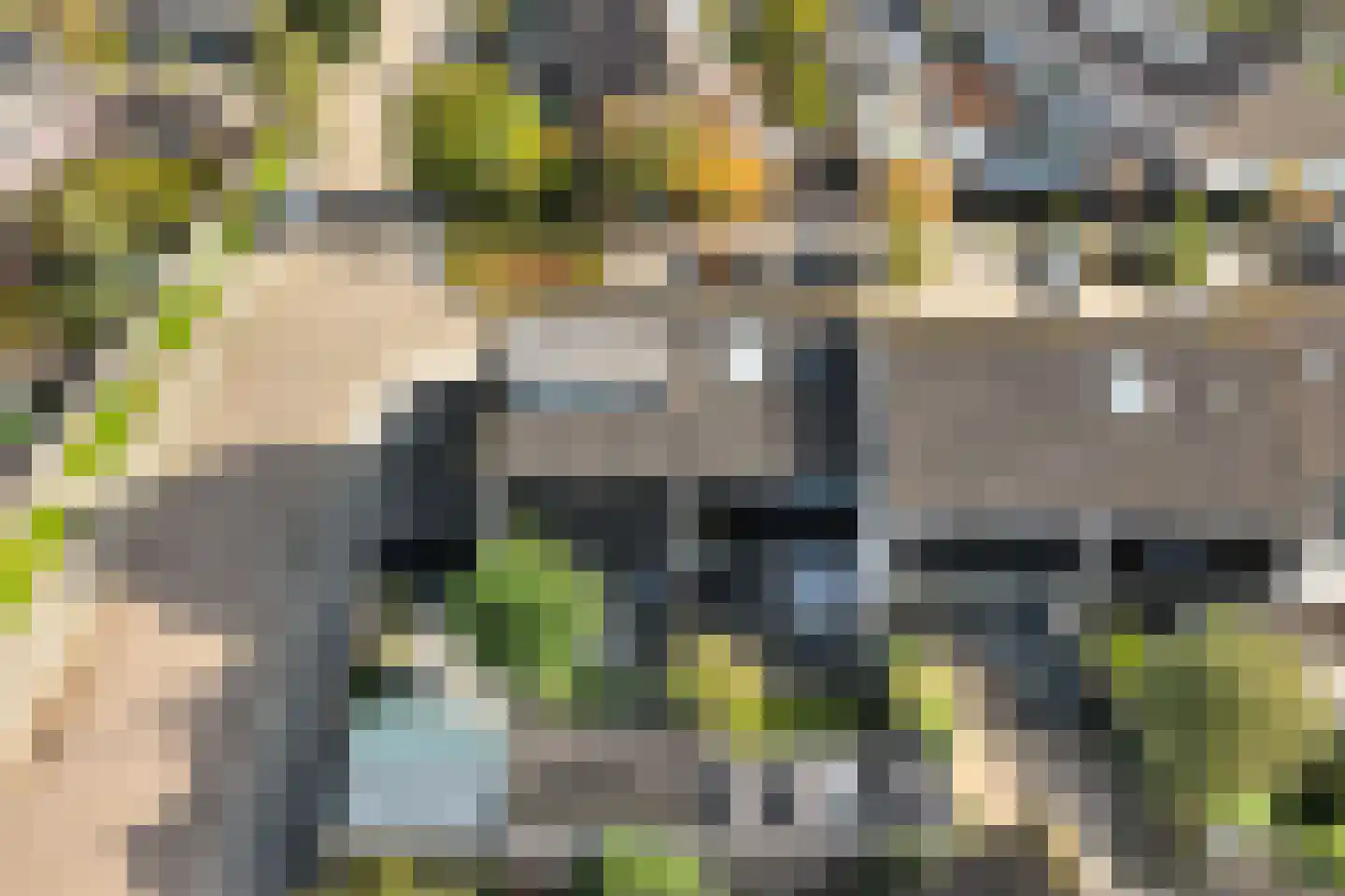 Nachtegaallaan 2 Anna Paulowna thumbnail 30