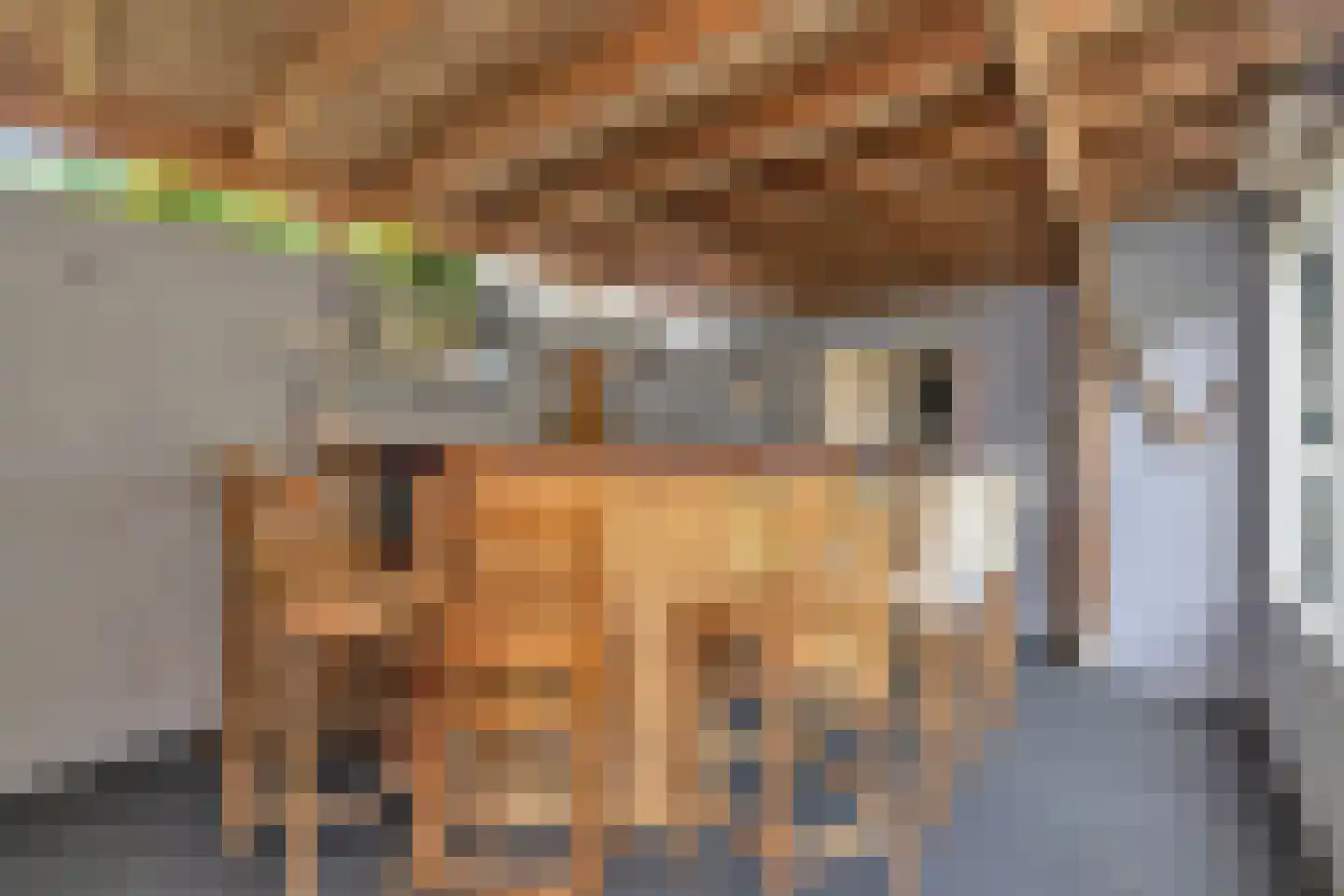 Nachtegaallaan 2 Anna Paulowna thumbnail 35