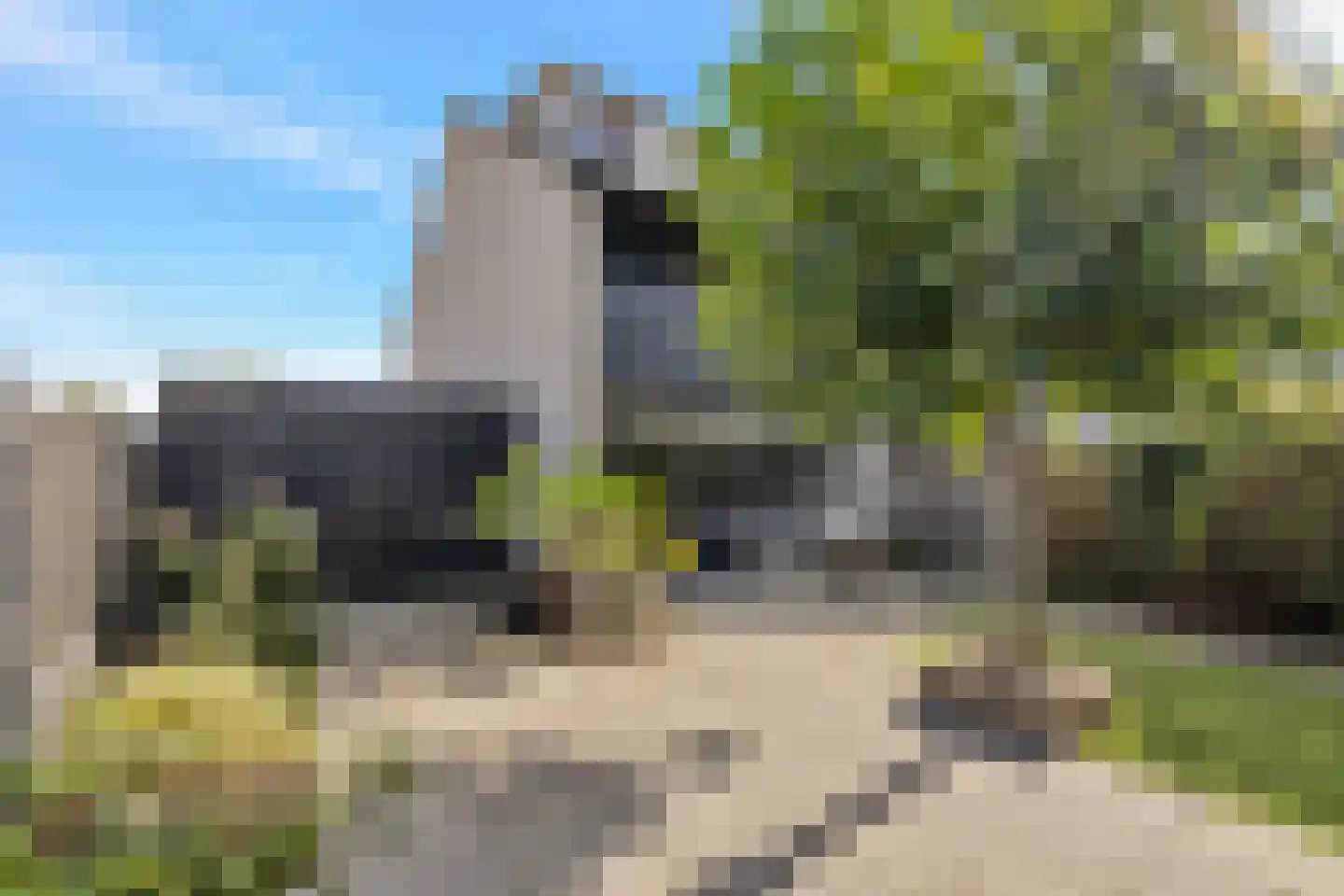 Nachtegaallaan 2 Anna Paulowna thumbnail 38