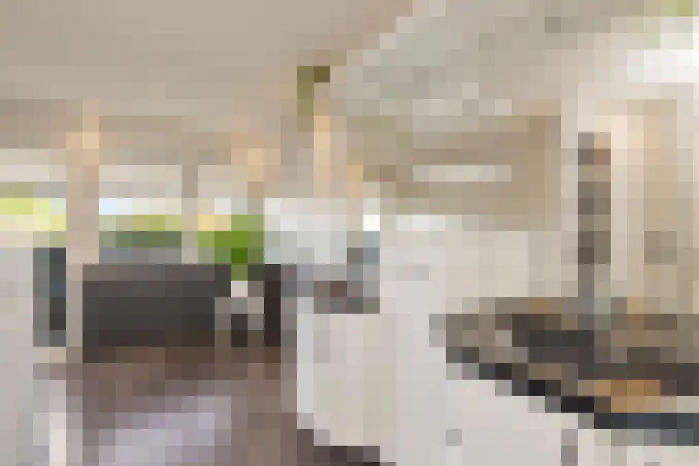 Nachtegaallaan 2 Anna Paulowna thumbnail 6