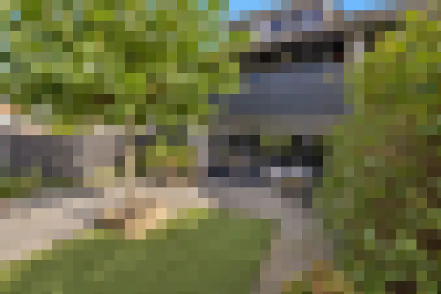 Nachtegaallaan 2 Anna Paulowna thumbnail 7
