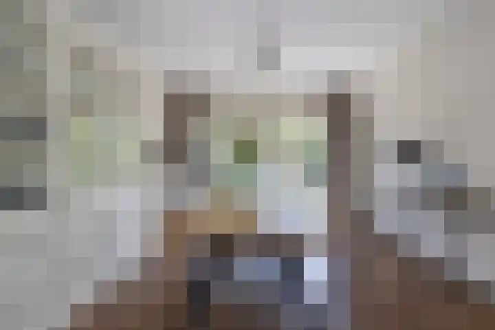 Nachtegaallaan 2 Bussum thumbnail 10