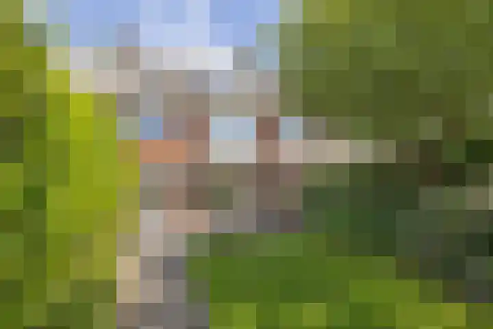 Nachtegaallaan 2 Bussum thumbnail 32