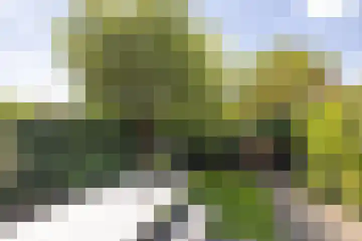 Nachtegaallaan 2 Bussum thumbnail 33