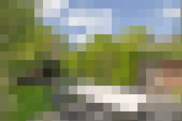 Nachtegaallaan 2 Bussum thumbnail 34