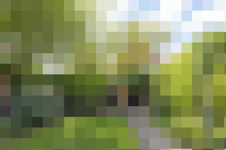 Nachtegaallaan 2 Bussum thumbnail 35