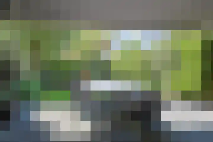 Nachtegaallaan 2 Bussum thumbnail 37