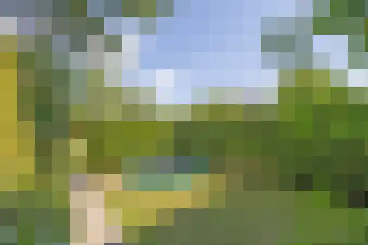 Nachtegaallaan 2 Bussum thumbnail 5