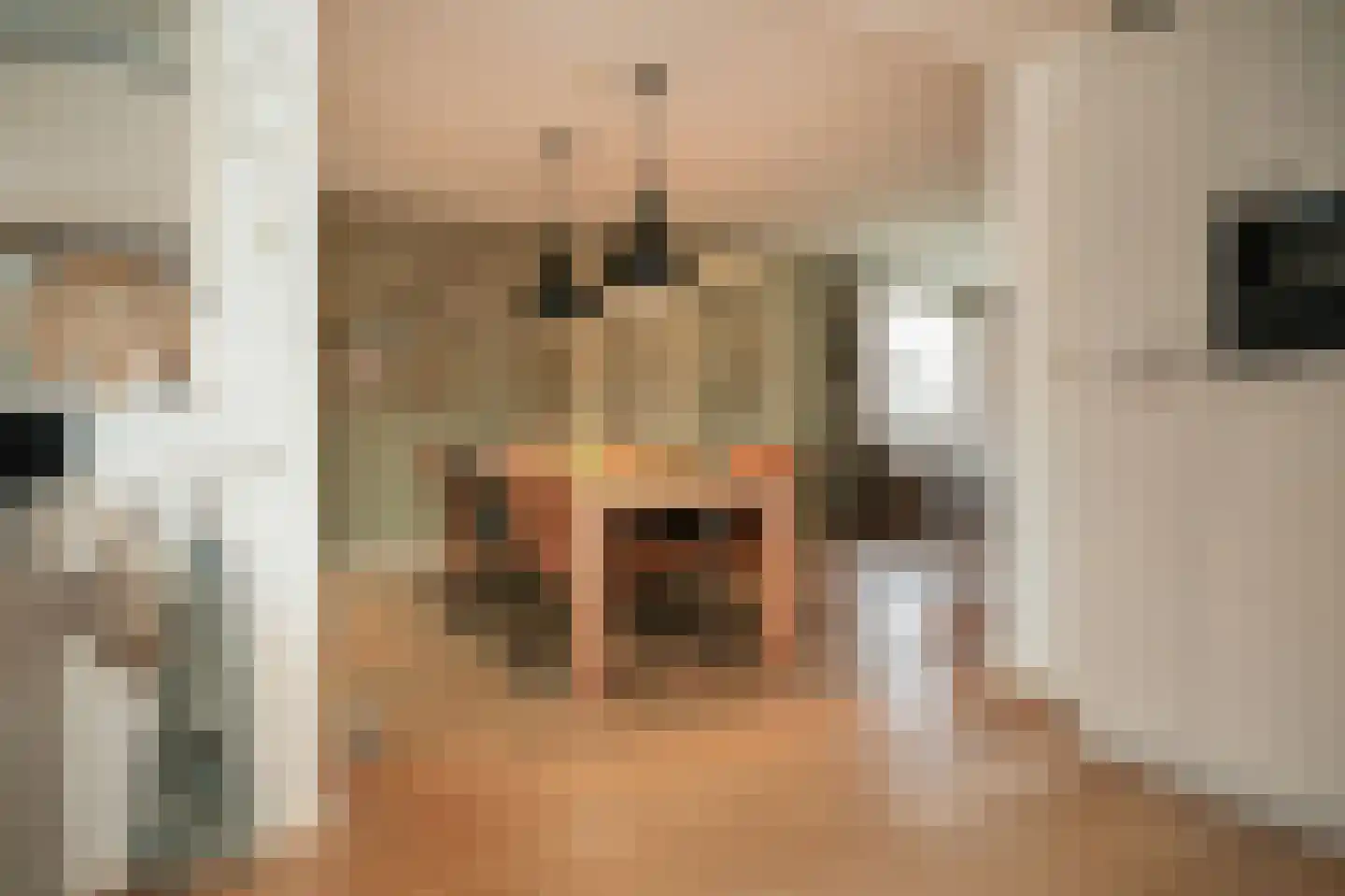Nachtegaallaan 2 Dodewaard thumbnail 15