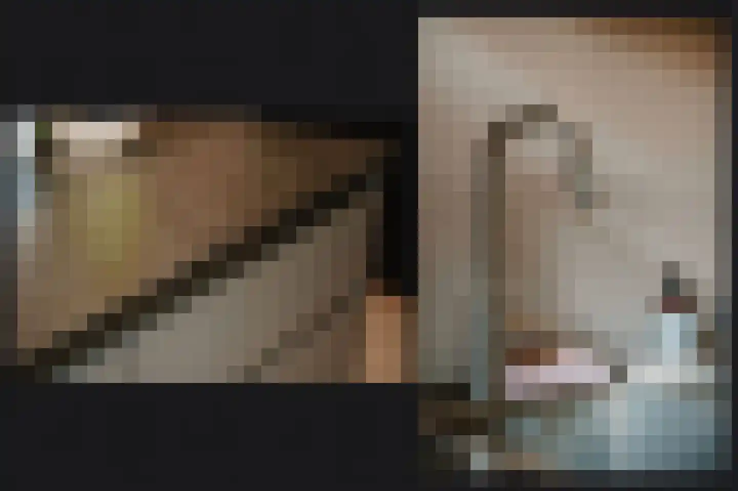Nachtegaallaan 2 Dodewaard thumbnail 18