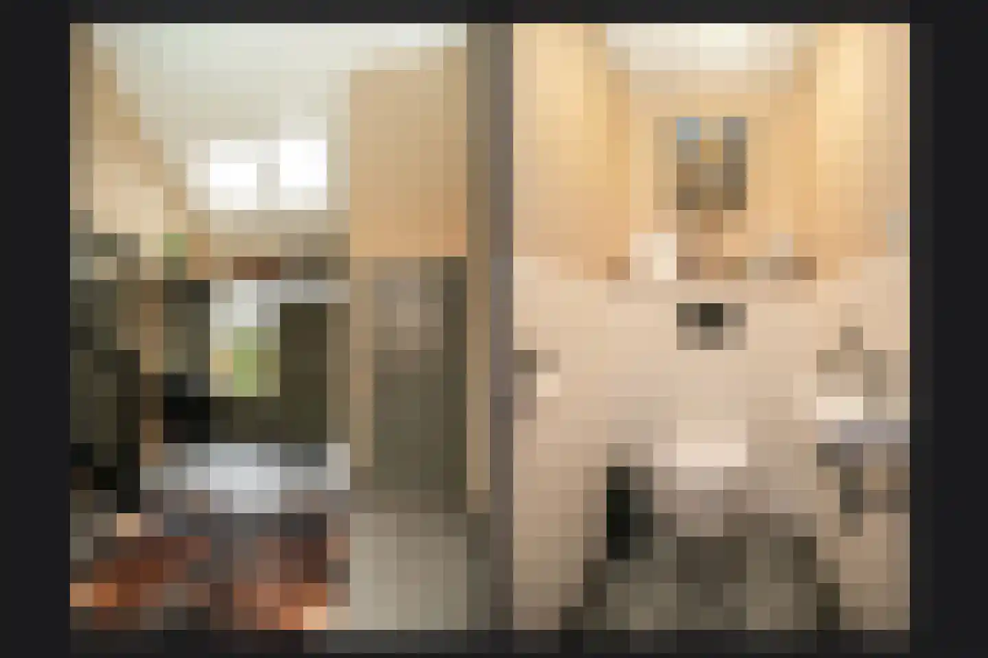 Nachtegaallaan 2 Dodewaard thumbnail 23