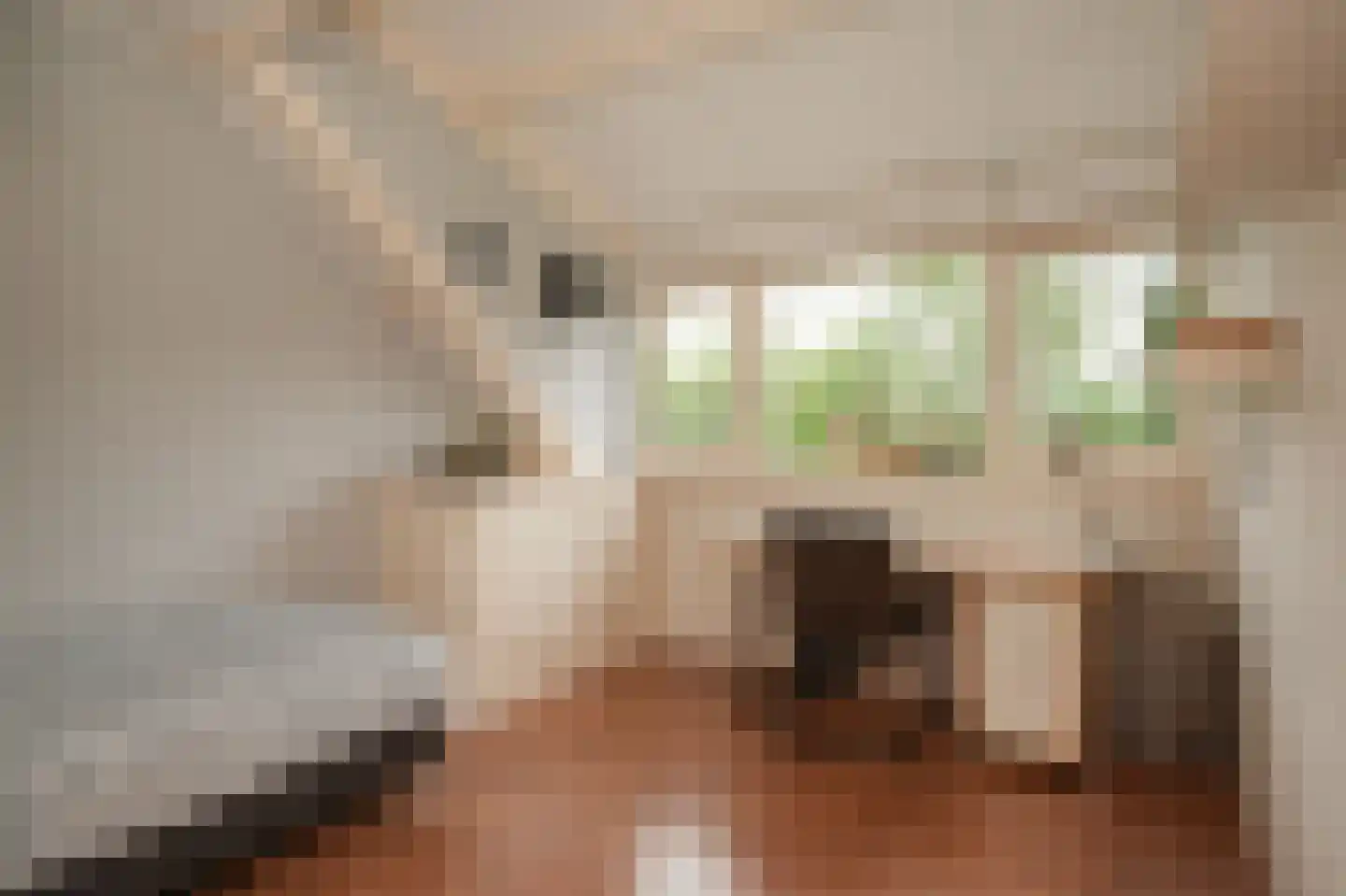 Nachtegaallaan 2 Dodewaard thumbnail 23