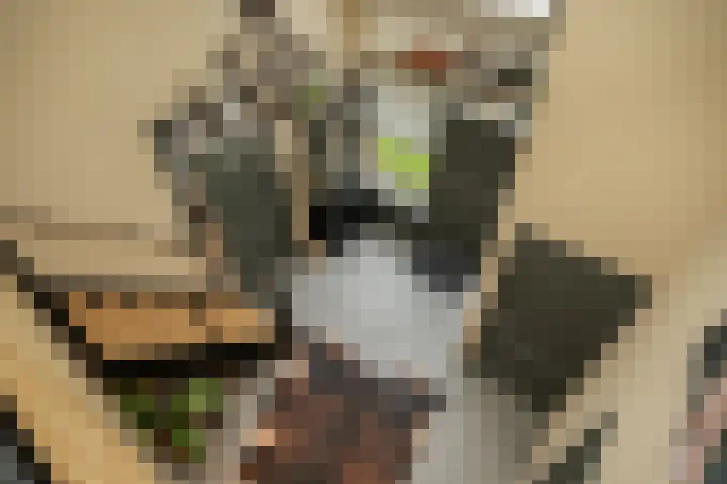 Nachtegaallaan 2 Dodewaard thumbnail 25
