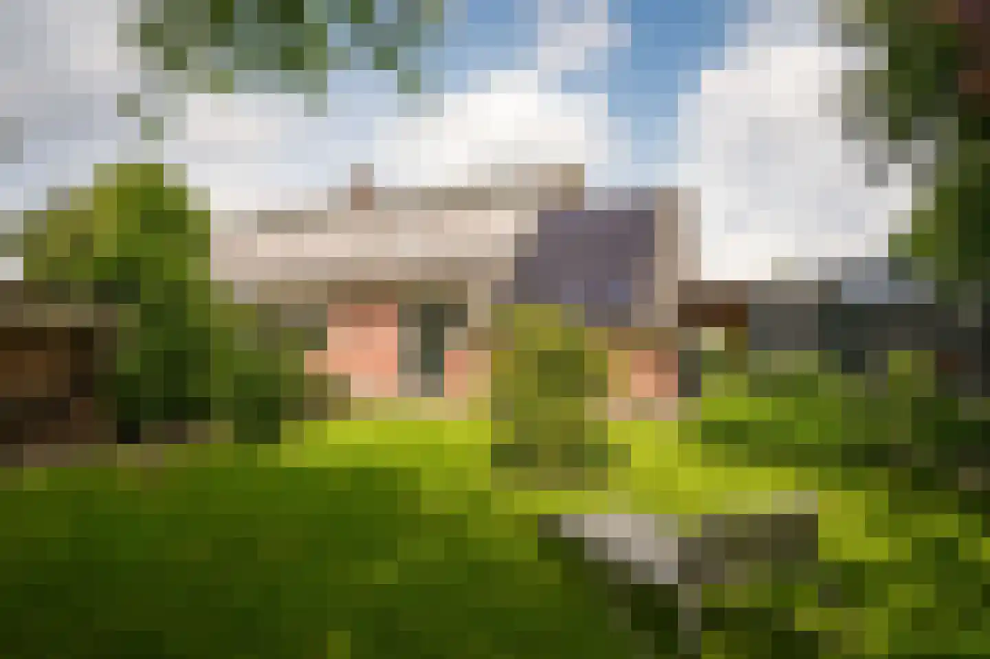 Nachtegaallaan 2 Dodewaard thumbnail 28